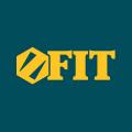 Ручной инструмент  FIT
